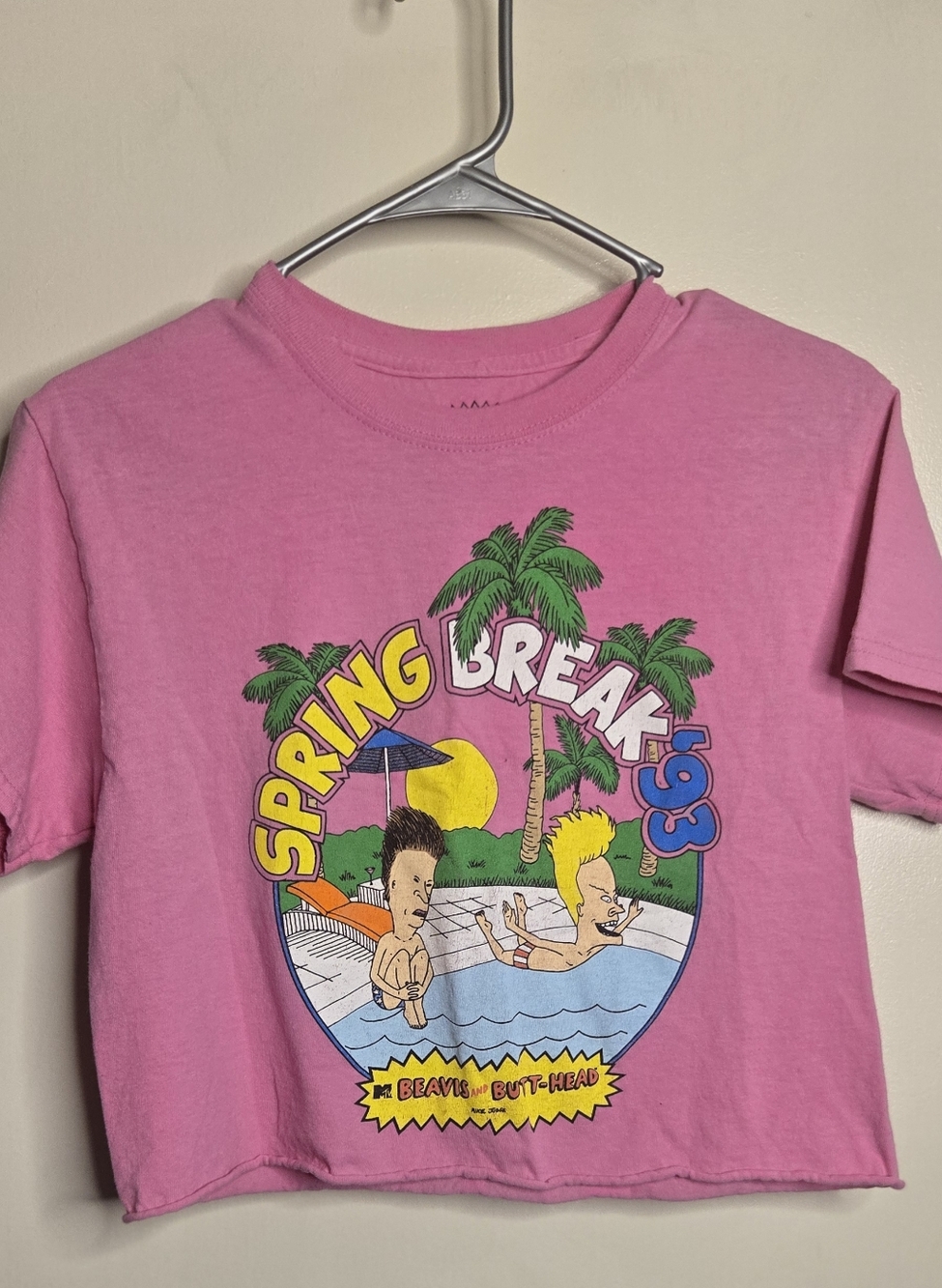 MTV Pink Beavis & Butt-Head Spring Break '93 Graphic Crop Top.